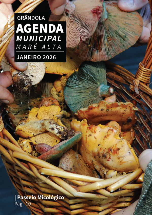 capa_marealta_jan26_03