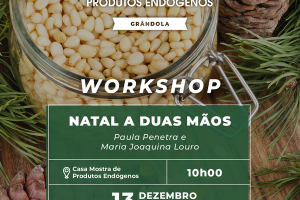 cartaz_a4___workshop_pinhao_01