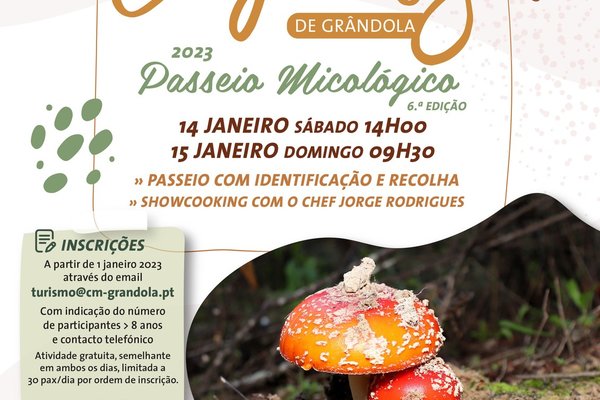 cogumelos2023