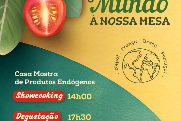 direitshumanos2025_redes_02