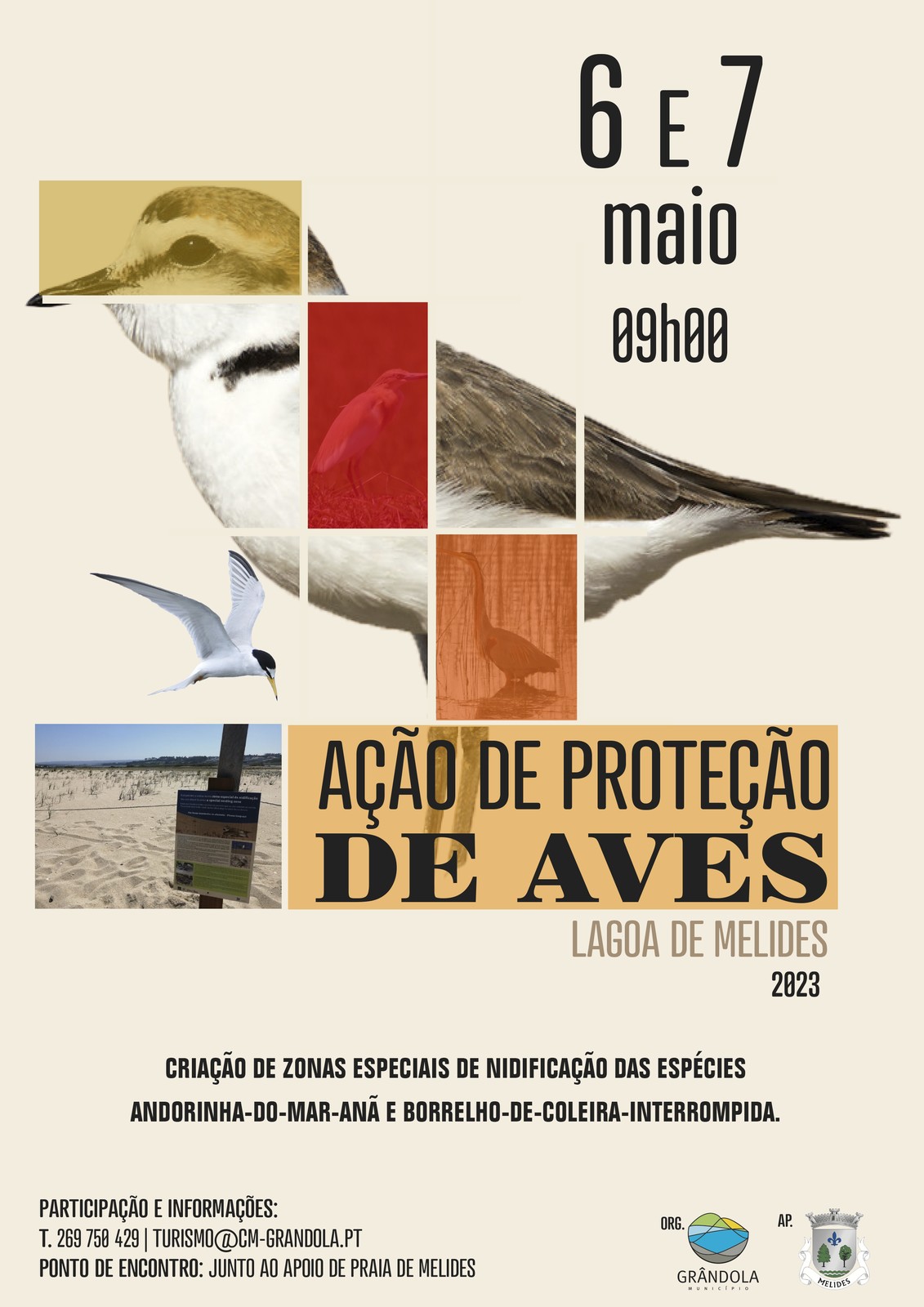 AMBIENTE | Ação de proteção de aves
