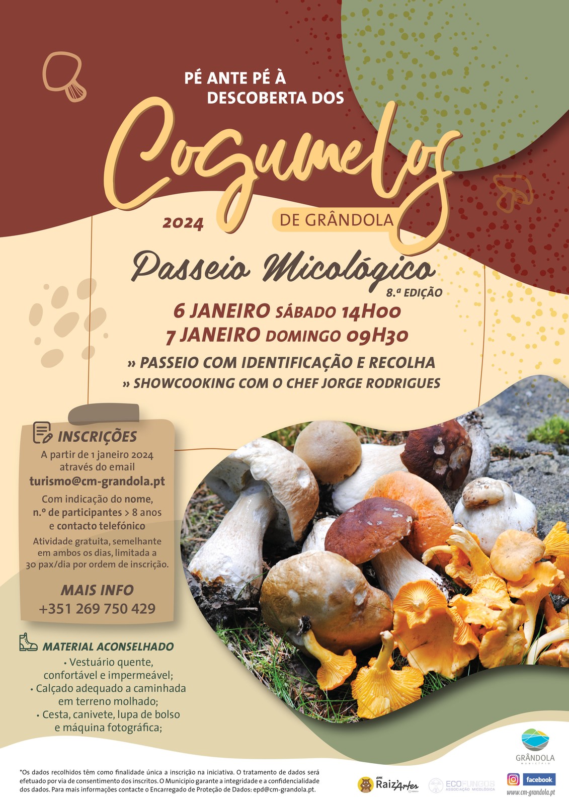NATUREZA | Passeio Micológico «Pé Ante Pé à Descoberta dos Cogumelos de Grândola»