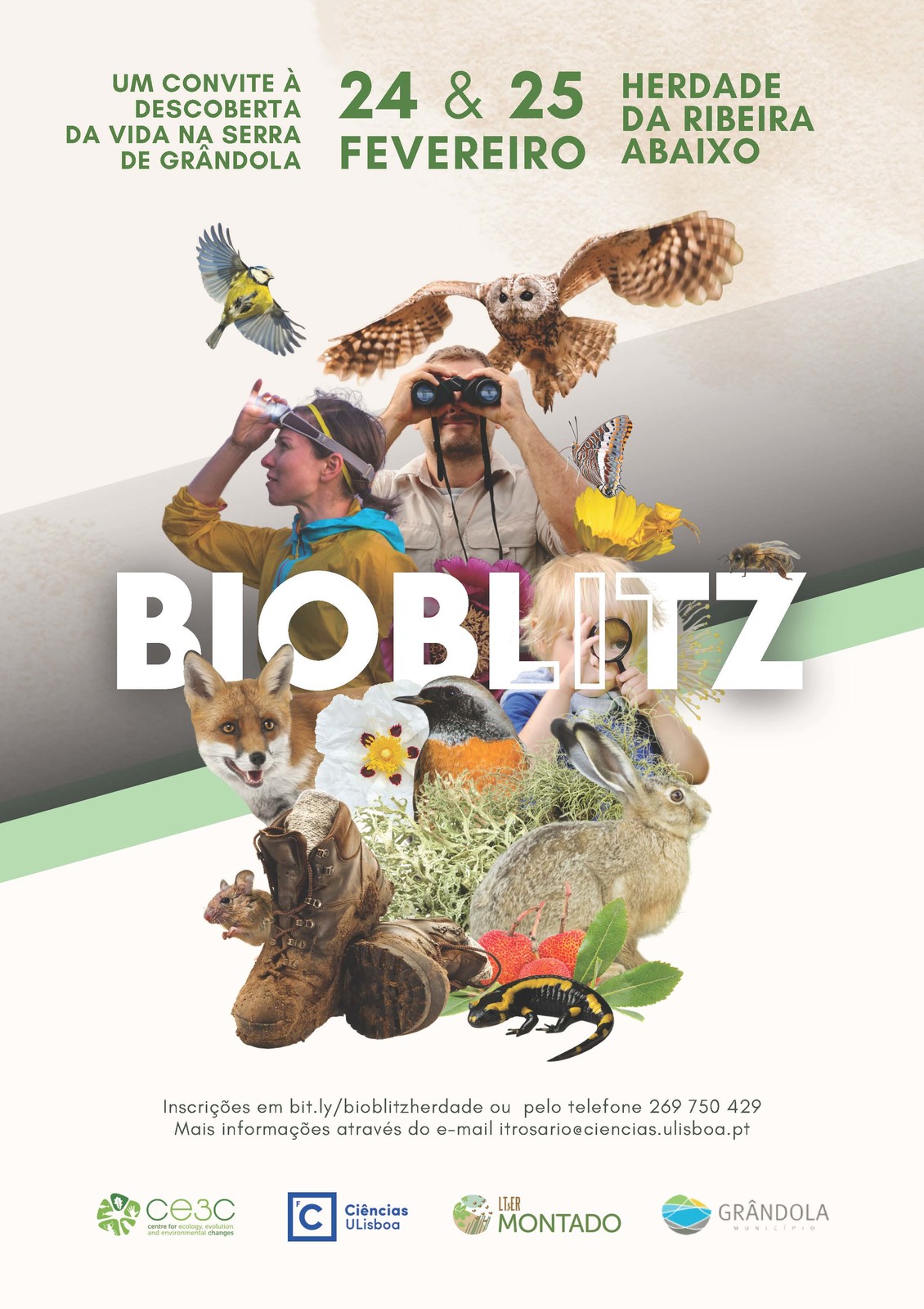 NATUREZA | BioBlitz Herdade da Ribeira Abaixo » Um Convite à Descoberta da Serra de Grândola
