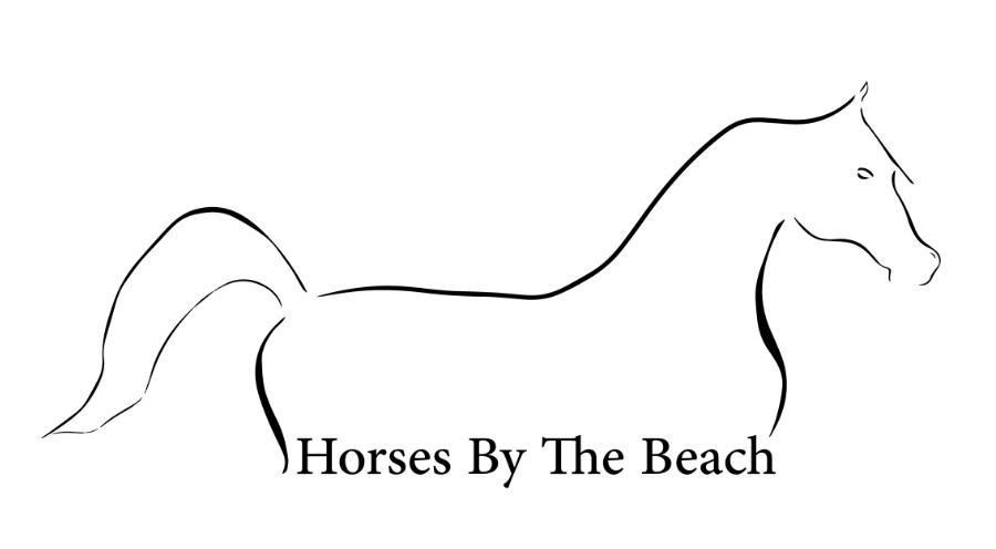 Horses by the Beach