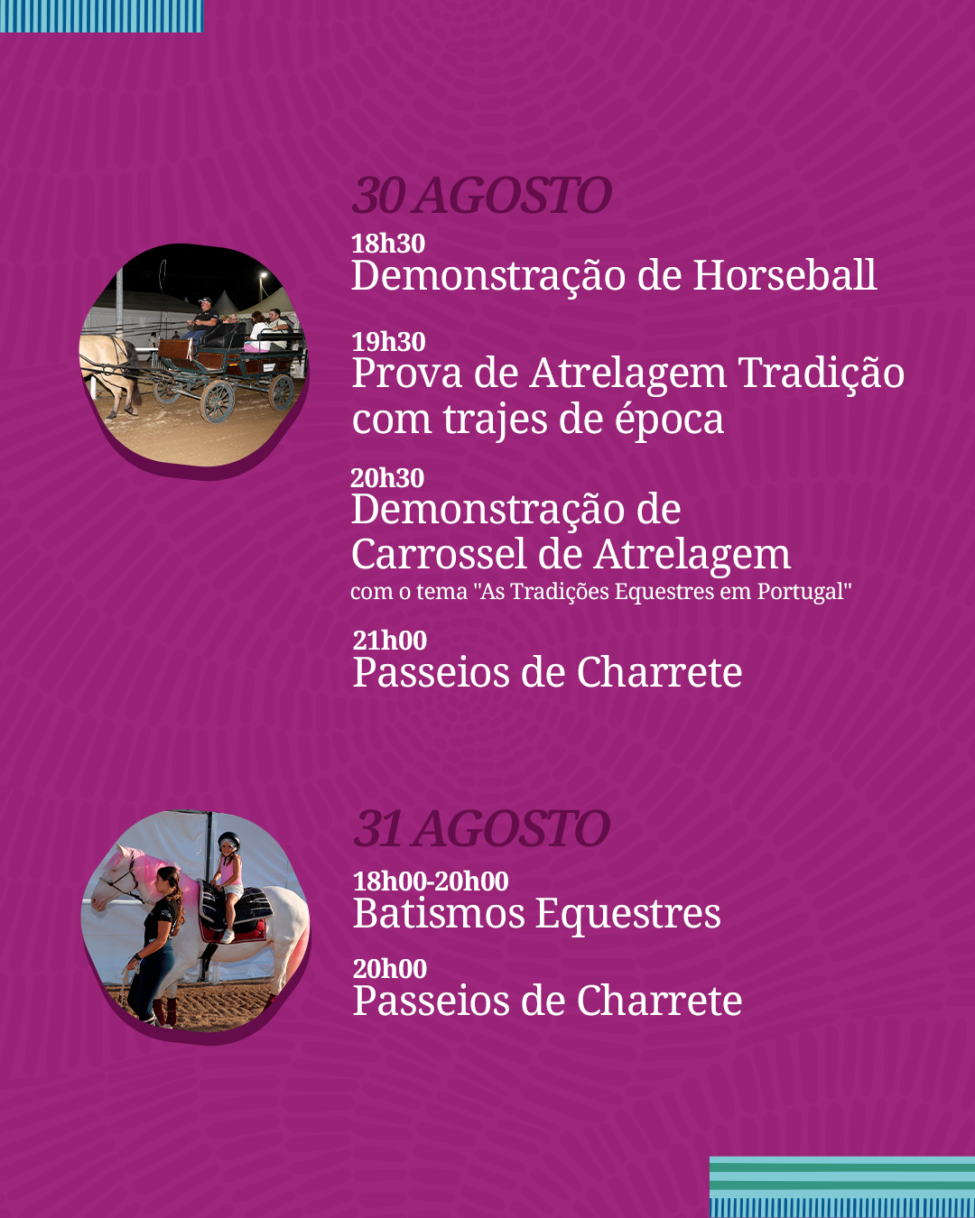 Programa Picadeiro 2026