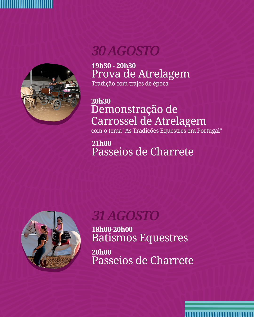 FDA_Post_Picadeiro_Carrossel_03